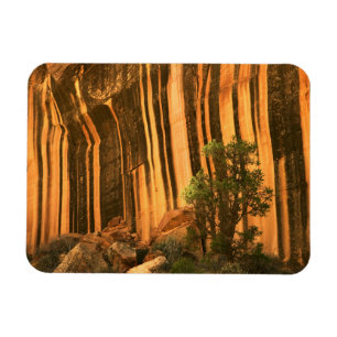 USA, Utah, Capitol Reef National Park Magnet
