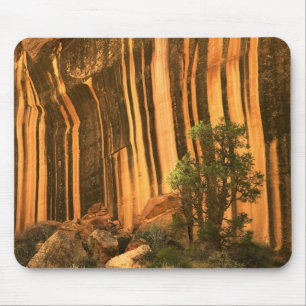 USA, Utah, Capitol Reef National Park Mouse Mat