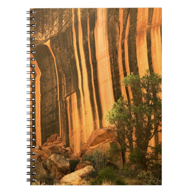 USA, Utah, Capitol Reef National Park Notebook (Front)