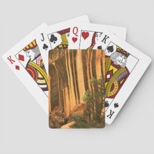 USA, Utah, Capitol Reef National Park Playing Cards