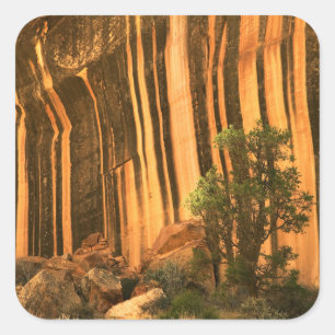 USA, Utah, Capitol Reef National Park Square Sticker