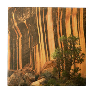 USA, Utah, Capitol Reef National Park Tile
