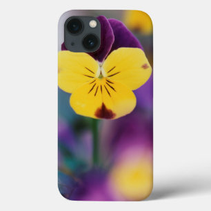 USA, Utah, Close-Up of Viola tricolor in garden iPhone 13 Case