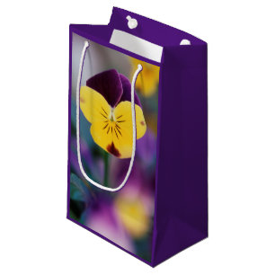 USA, Utah, Close-Up of Viola tricolor in garden Small Gift Bag