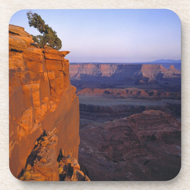 USA, Utah, Dead Horse Point SP. Late light turns Coaster (Front)