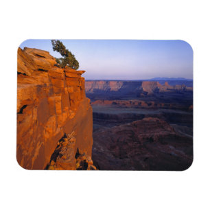 USA, Utah, Dead Horse Point SP. Late light turns Magnet