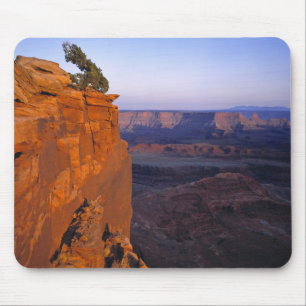 USA, Utah, Dead Horse Point SP. Late light turns Mouse Mat