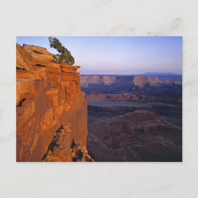 USA, Utah, Dead Horse Point SP. Late light turns Postcard (Front)