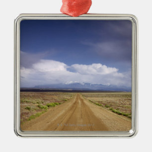 USA, Utah, Dirt road crossing landscape Metal Tree Decoration