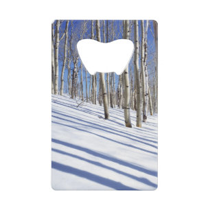USA, Utah, Dixie National Forest, Aspen Grove