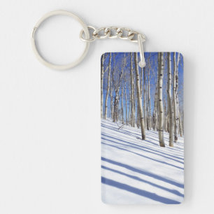 USA, Utah, Dixie National Forest, Aspen Grove Key Ring