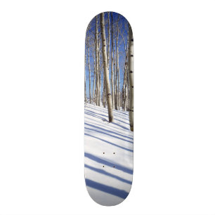 USA, Utah, Dixie National Forest, Aspen Grove Skateboard