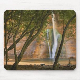 USA, Utah, Escalante Wilderness. A view of Mouse Mat