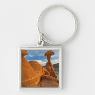 USA, Utah, Grand Staircase Escalante-National Key Ring