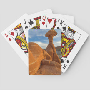 USA, Utah, Grand Staircase Escalante-National Playing Cards