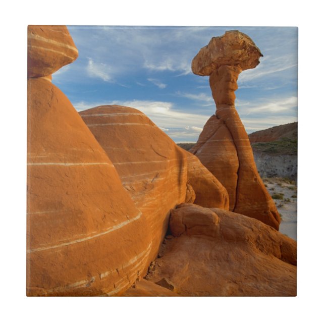 USA, Utah, Grand Staircase Escalante-National Tile (Front)