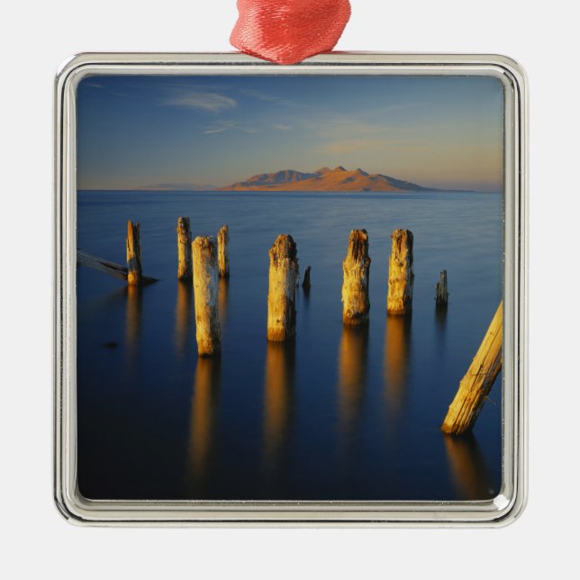 USA, Utah, Great Basin, Saltair, Great Salt Metal Tree Decoration (Front)