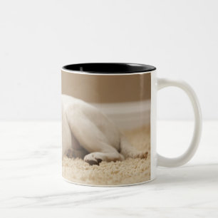 USA, Utah, Lehi, Portrait of Yellow Labrador Two-Tone Coffee Mug