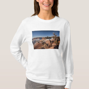 USA, Utah, Moab. Canyonlands National Park, T-Shirt