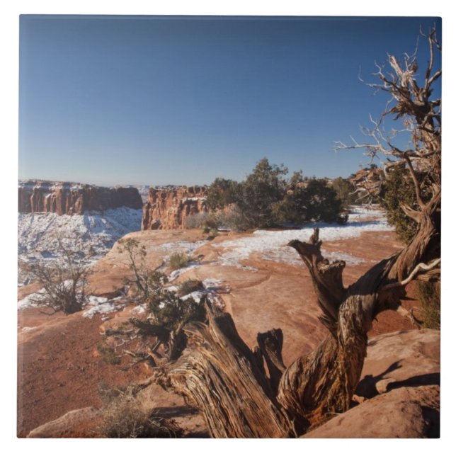 USA, Utah, Moab. Canyonlands National Park, Tile (Front)