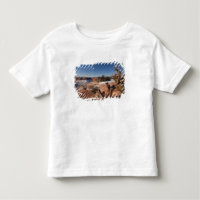USA, Utah, Moab. Canyonlands National Park,