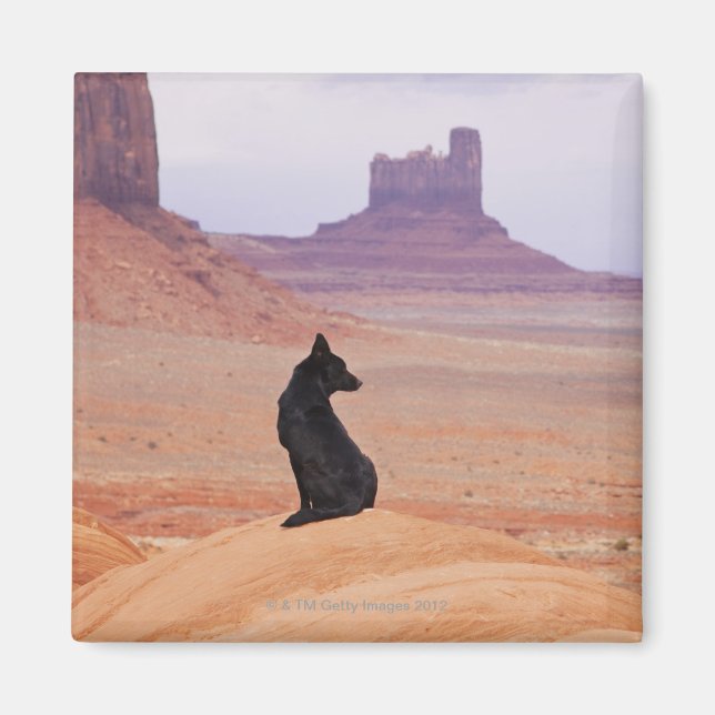 USA, Utah, Monument Valley, Dog sitting on rock Magnet (Front)