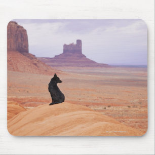 USA, Utah, Monument Valley, Dog sitting on rock Mouse Mat