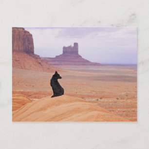 USA, Utah, Monument Valley, Dog sitting on rock Postcard