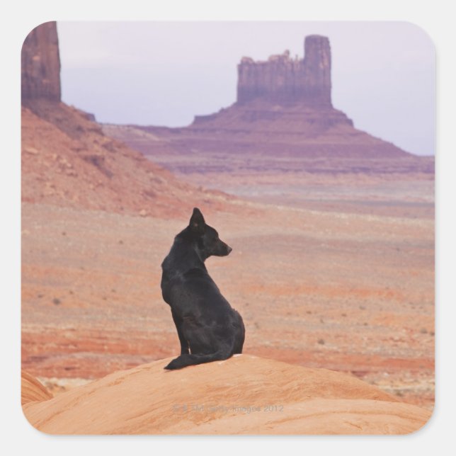 USA, Utah, Monument Valley, Dog sitting on rock Square Sticker (Front)