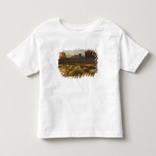 USA, Utah, Monument Valley National Park. Toddler T-Shirt