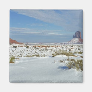 USA, Utah, Monument Valley. Sagebrush shows Magnet