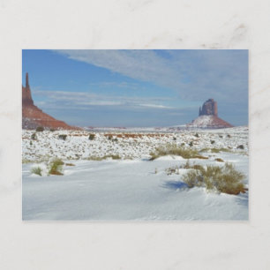 USA, Utah, Monument Valley. Sagebrush shows Postcard