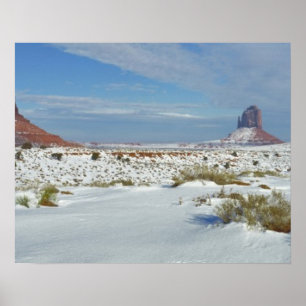 USA, Utah, Monument Valley. Sagebrush shows Poster