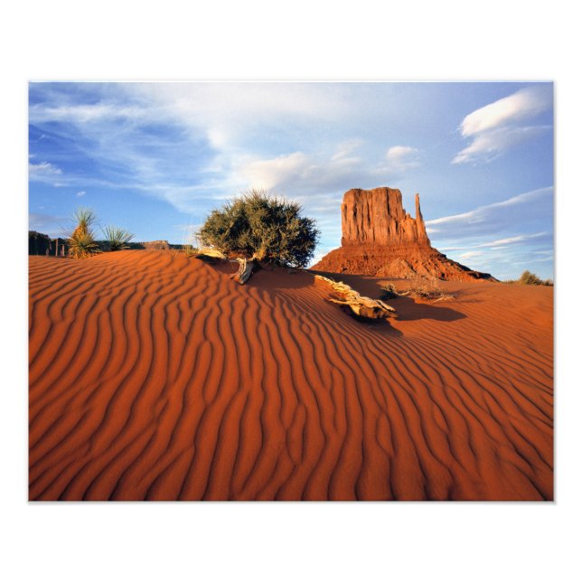 USA, Utah, Monument Valley. Wind creates Photo Print (Front)