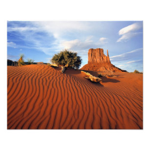 USA, Utah, Monument Valley. Wind creates Photo Print
