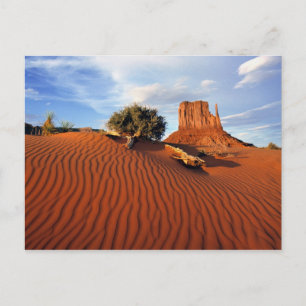 USA, Utah, Monument Valley. Wind creates Postcard