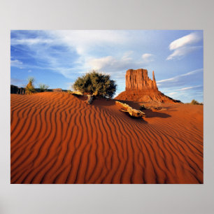 USA, Utah, Monument Valley. Wind creates Poster