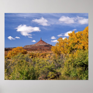 USA, Utah, near Canyonlands National Park on Poster