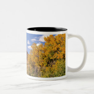 USA, Utah, near Canyonlands National Park on Two-Tone Coffee Mug