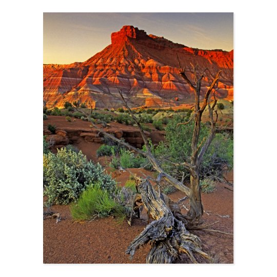 USA, Utah. Paria Canyon sandstone formation at Postcard