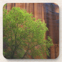 USA, Utah, Paria Canyon- Vermillion Cliffs
