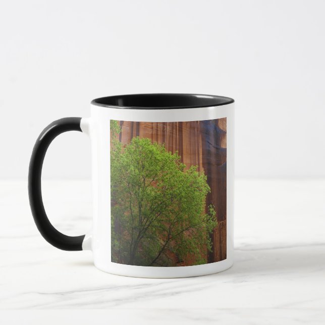 USA, Utah, Paria Canyon- Vermillion Cliffs Mug (Left)