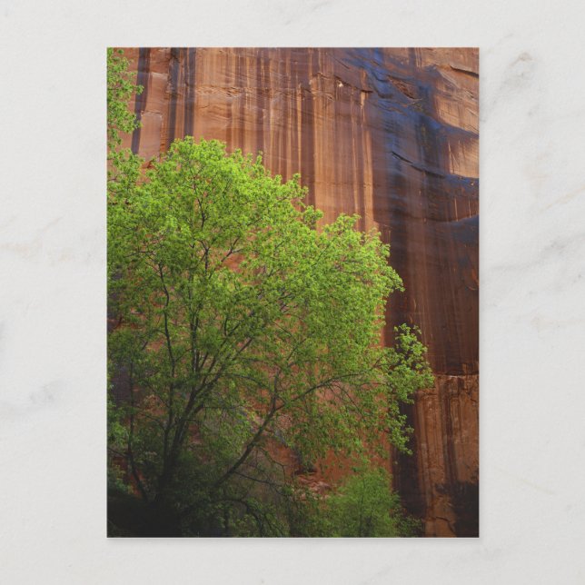 USA, Utah, Paria Canyon- Vermillion Cliffs Postcard (Front)