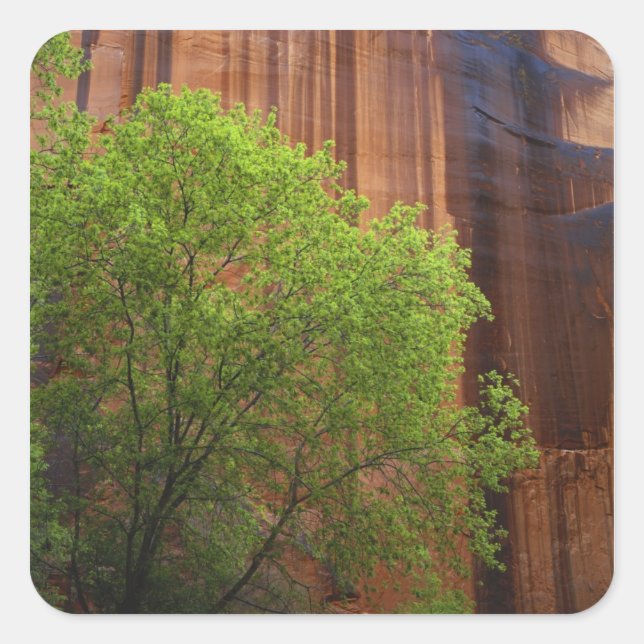 USA, Utah, Paria Canyon- Vermillion Cliffs Square Sticker (Front)