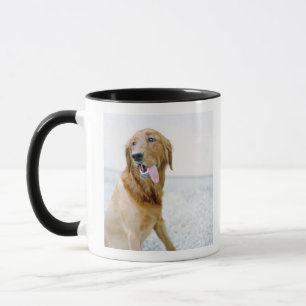 USA, Utah, Salt Lake City, Half shaved Golden Mug