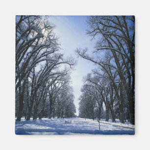 USA, Utah, Salt Lake City, Liberty Park, Magnet