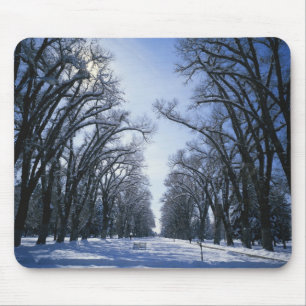 USA, Utah, Salt Lake City, Liberty Park, Mouse Mat
