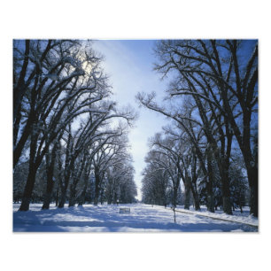 USA, Utah, Salt Lake City, Liberty Park, Photo Print