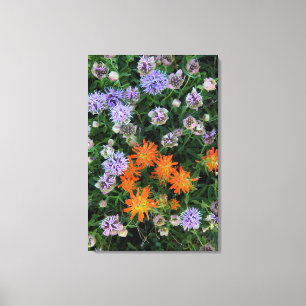 USA, Utah, Uinta-Wasatch-Cache National Forest 3 Canvas Print