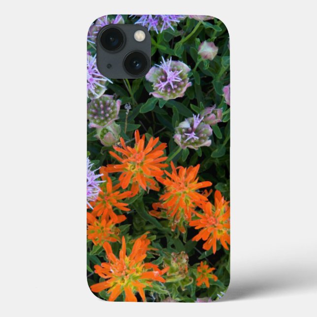 USA, Utah, Uinta-Wasatch-Cache National Forest 3 Case-Mate iPhone Case (Back)